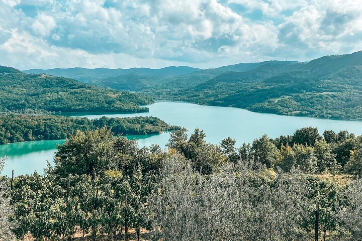 Truffle hunting & cooking tour
