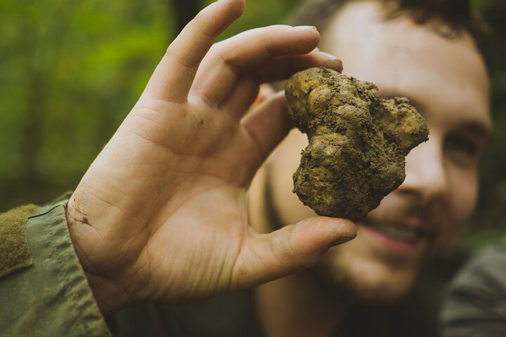 Truffle hunting & cooking tour
