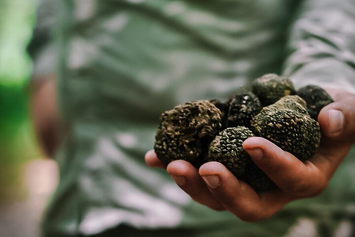 Truffle hunting & cooking tour