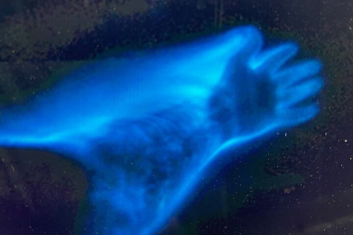 Bioluminescence Tour on Kayak or Paddle Board