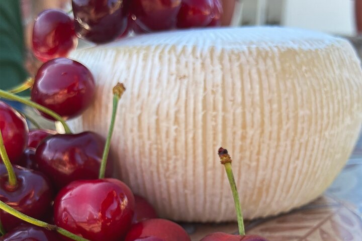 Mozzarella Experience - Cheese Tour and tastings to Masseria Fragnite