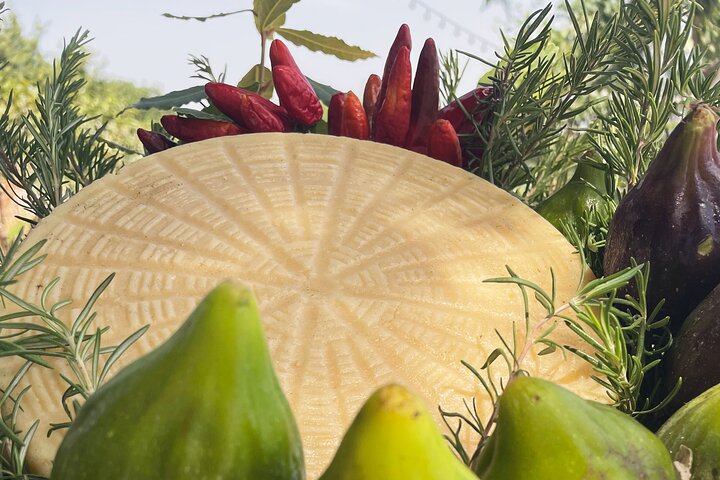 Mozzarella Experience - Cheese Tour and tastings to Masseria Fragnite
