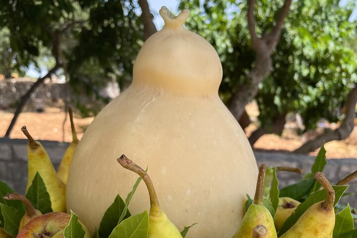 Mozzarella Experience - Cheese Tour and tastings to Masseria Fragnite