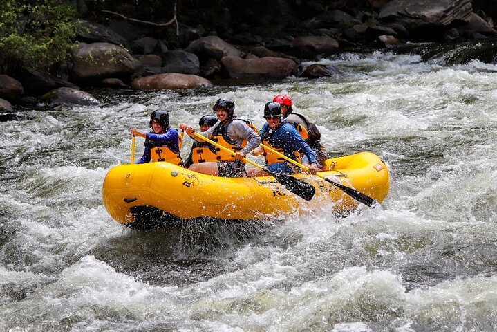 Upper Pigeon Rafting Adventure
