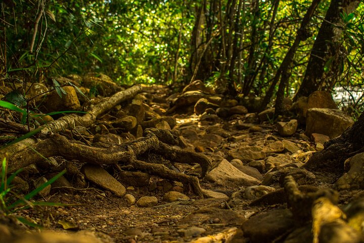 2 AMAZING DAYS! Booking from 2 people - Chapada Diamantina by Zentur