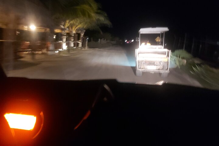 Bioluminescence Tour in Punta Cocos Holbox