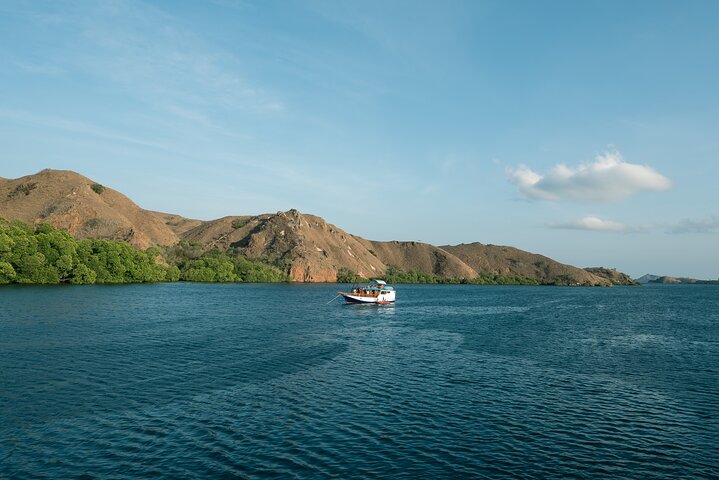Full-Day Adventure Tour to komodo Island with join Speed Boat tur