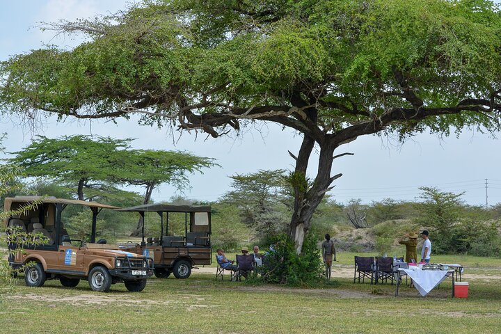 From Zanzibar: Selous Game Reserve Day Safari with Flights