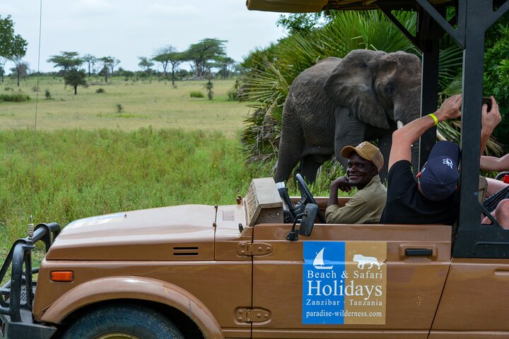 From Zanzibar: Selous Game Reserve Day Safari with Flights