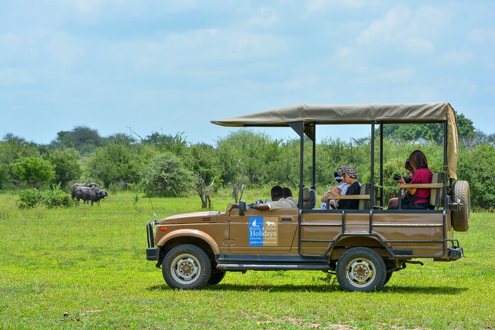 From Zanzibar: Selous Game Reserve Day Safari with Flights