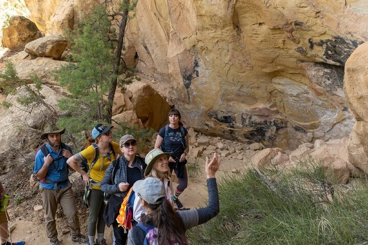Private Tour of Mesa Verde With an Archeologist-Trained Guide