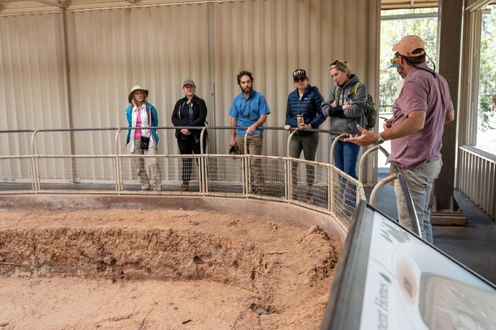 Private Tour of Mesa Verde With an Archeologist-Trained Guide