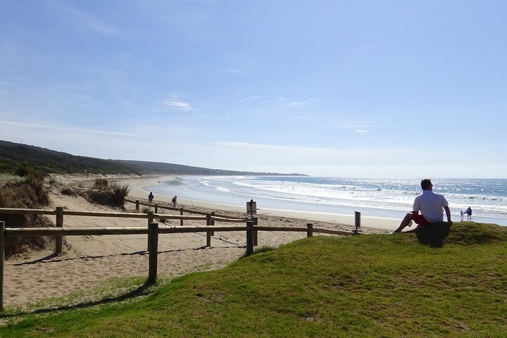 Full-Day Great Ocean Road and 12 Apostles Tour