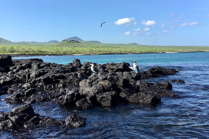 Full-Day Tour to Floreana Island & Cave of Pirates