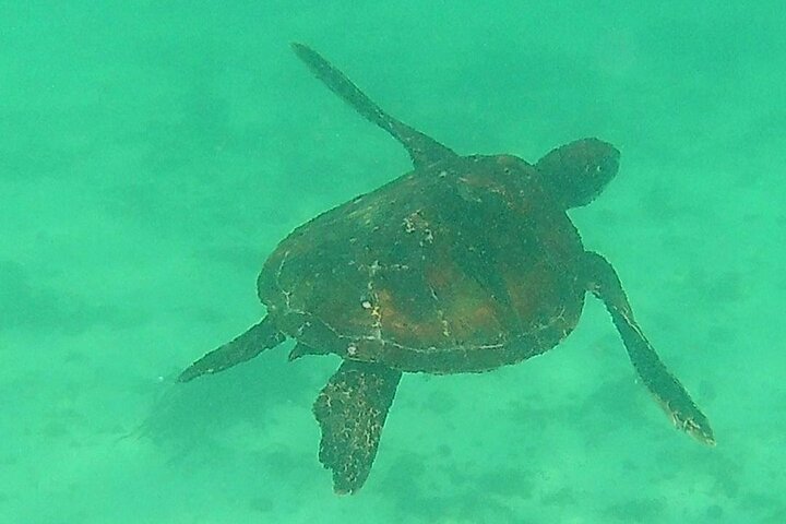 Full-Day Tour to Floreana Island & Cave of Pirates