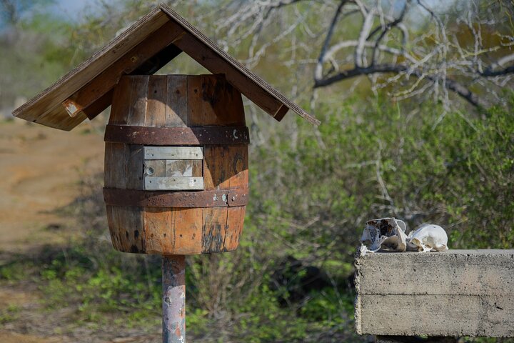 Full-Day Tour to Floreana Island & Cave of Pirates