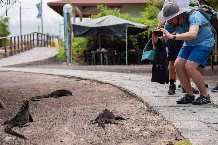 Day Trip to Isabela Island and Tintoreras in Galápagos