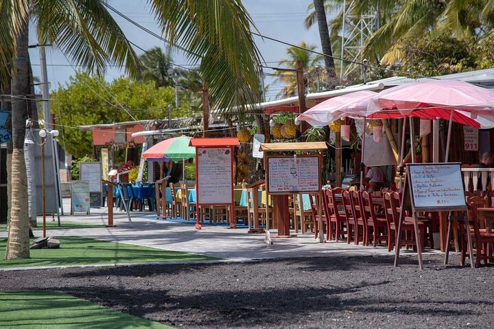 Day Trip to Isabela Island and Tintoreras in Galápagos