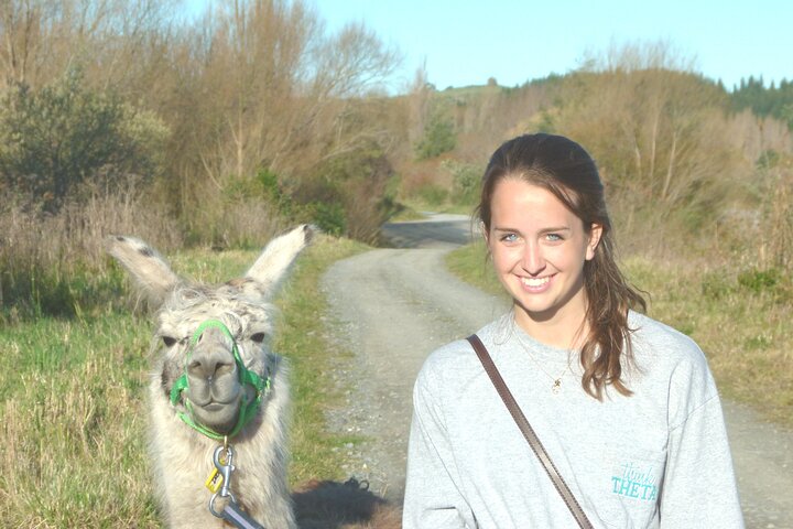 Llama Trek (Taster) - Kowhai River Valley and Native Woodland Tour