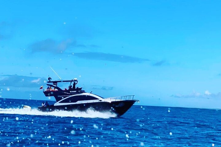 Transfer from Isabela Island to Santa Cruz Island