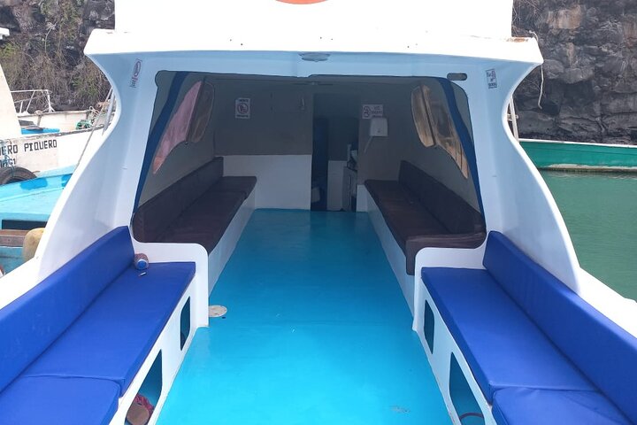 Transfer from Isabela Island to Santa Cruz Island