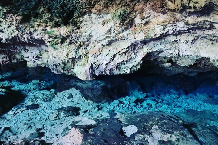 Mnemba Dolphin Tour; Salaam Cave; Kuza Cave; The Rock Restaurant