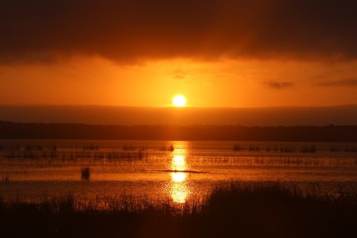 Maputo National Park (Maputo Special Reserve) Full-day Tour