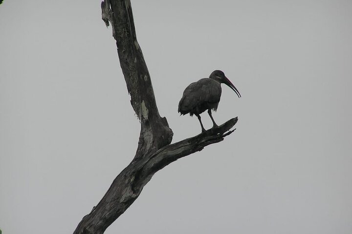 Maputo National Park (Maputo Special Reserve) Full-day Tour