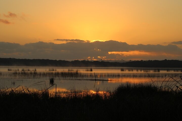 Maputo National Park (Maputo Special Reserve) Full-day Tour
