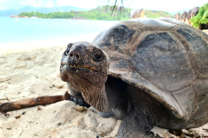 La Digue, Curiuese, St. Pierre, Anse Lazio by boat from Mahe (Private Boat)