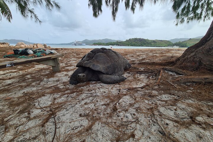 La Digue, Curiuese, St. Pierre, Anse Lazio by boat from Mahe (Private Boat)