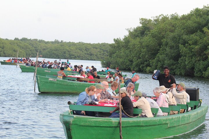 Caroni Bird Sanctuary Tour