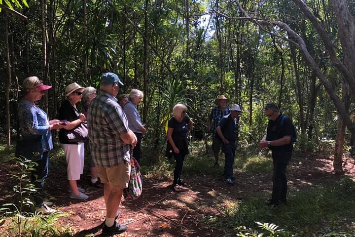 Breakfast Bushwalk & Clifftop BBQ Tour
