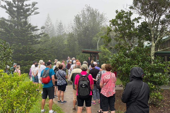 Breakfast Bushwalk & Clifftop BBQ Tour