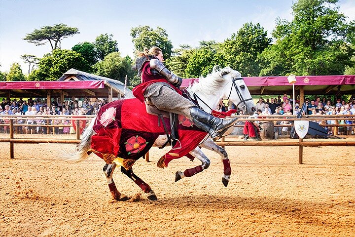 Warwick Castle Admission Ticket