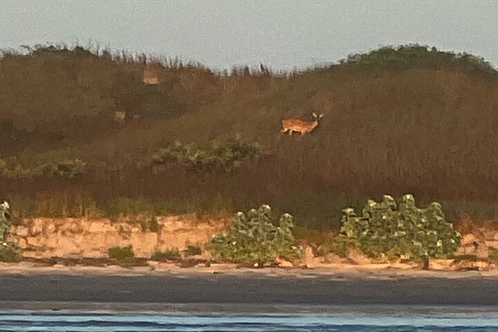 Private Dolphin Watch and Sunset Boat Tour Port Aransas Texas