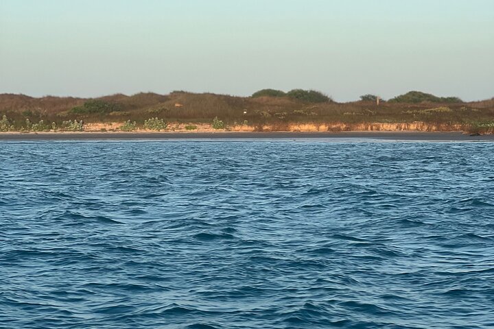 Private Dolphin Watch and Sunset Boat Tour Port Aransas Texas
