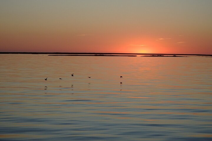 Sunset Tour | Ria Formosa - From Faro