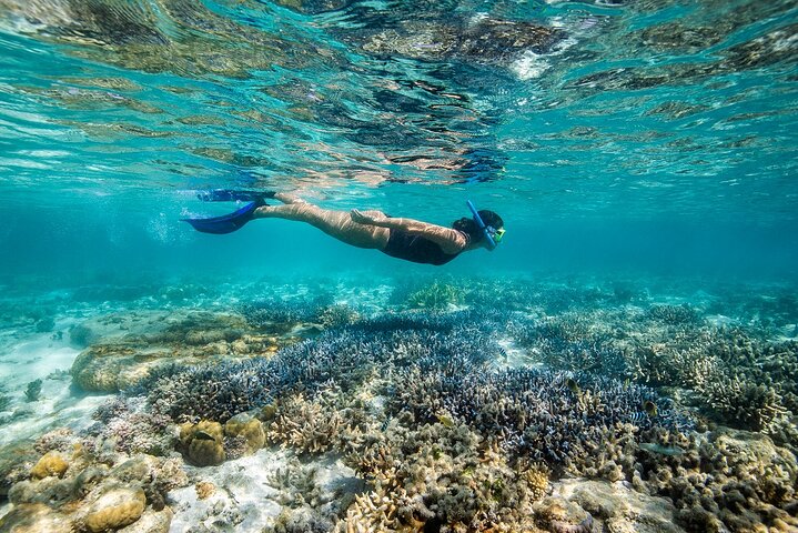 Great Barrier Reef Full Day Adventure