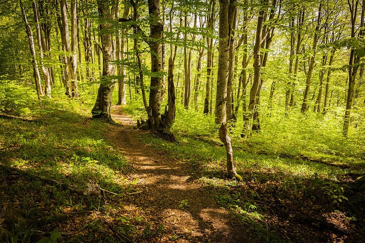 Plitvice Lakes National Park Guided Day Tour from Split