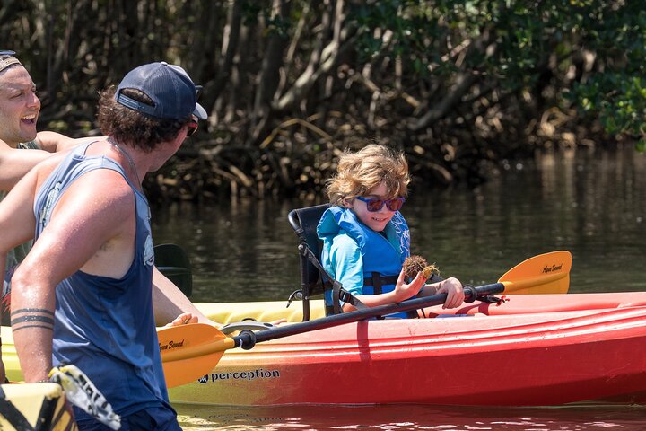 Sarasota Mangrove Tunnel Guided Kayak Adventure