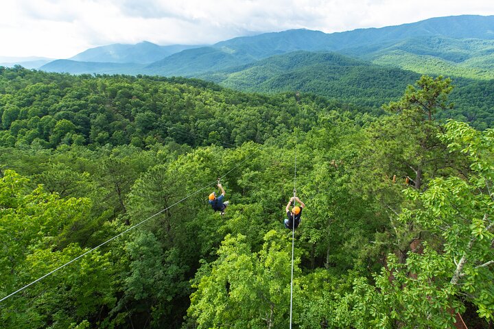 Mountaintop Zipline 2-Hours Activity