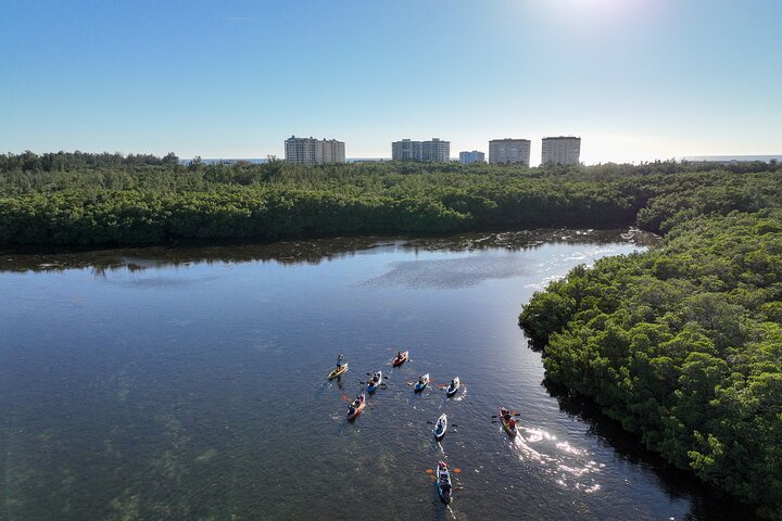Sarasota Mangrove Tunnel Guided Kayak Adventure