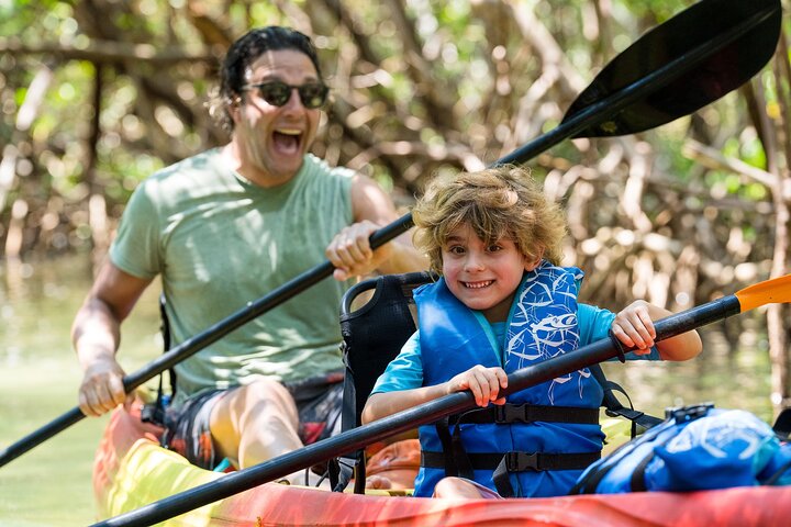 Sarasota Mangrove Tunnel Guided Kayak Adventure