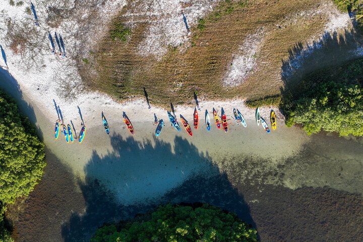 Sarasota Mangrove Tunnel Guided Kayak Adventure