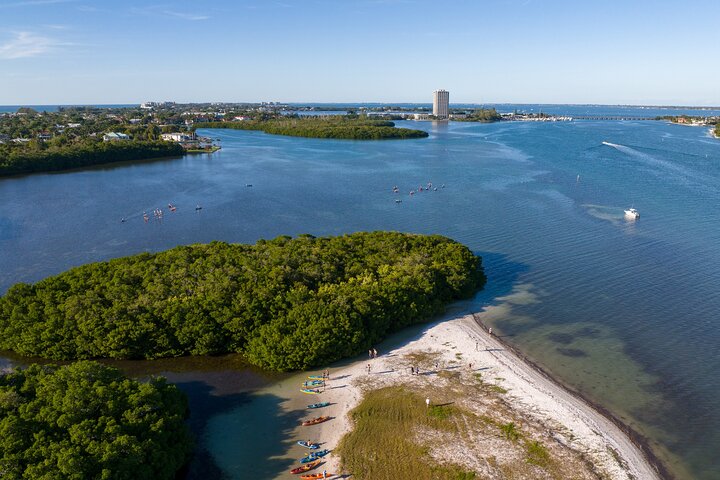 Sarasota Mangrove Tunnel Guided Kayak Adventure