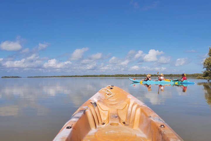 Kayak Experience in the Mangroves of Holbox Island