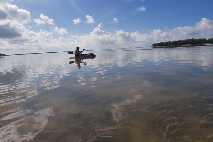 Kayak Experience in the Mangroves of Holbox Island