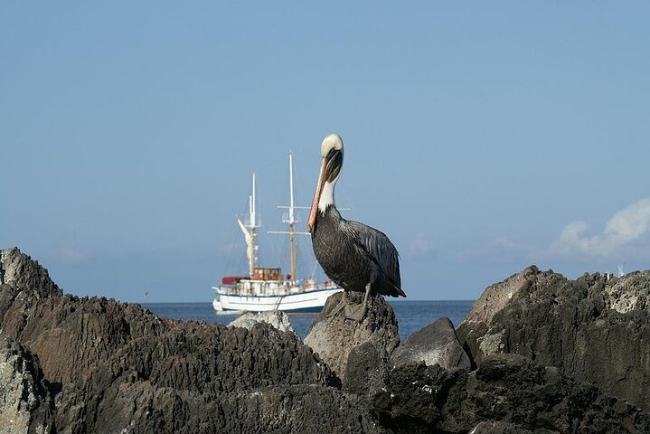 Floreana Island Full Day Tour Including Hiking and Snorkeling