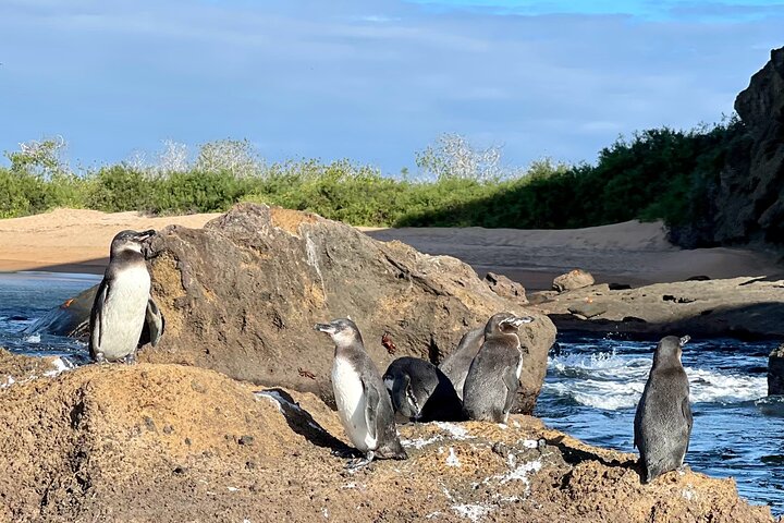 5-Day Galapagos Cruise: Itinerary B (East) aboard Monserrat Yacht